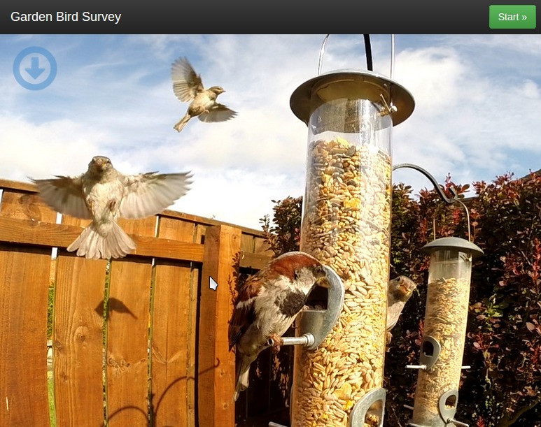 main image for Garden Bird Survey