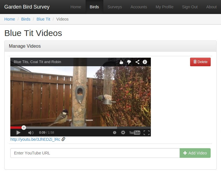 survey video